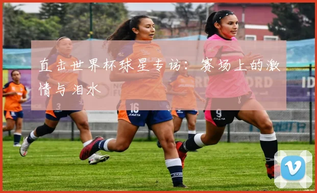 直击世界杯球星专访：赛场上的激情与泪水