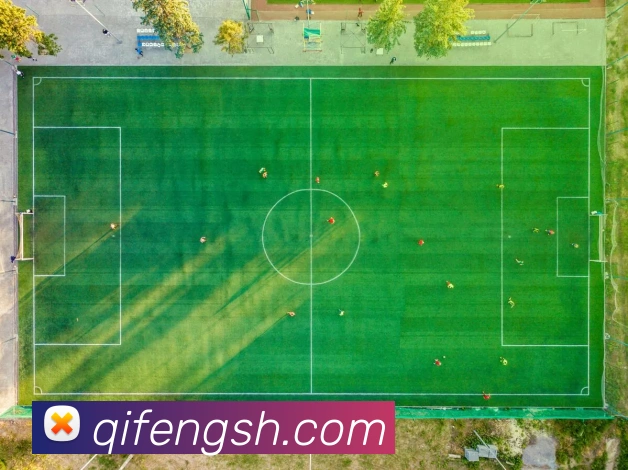 冰球突破玩法APP 高清赛事图